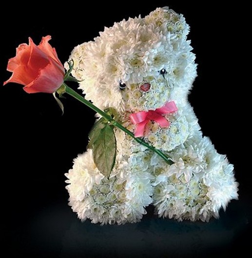 Động vật từ hoa 1