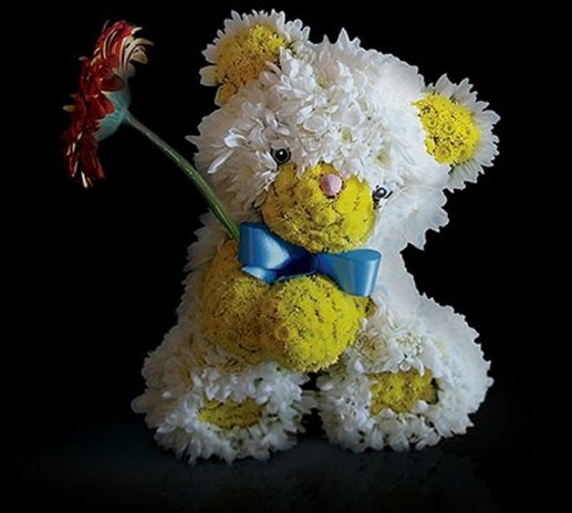 Động vật từ hoa 2