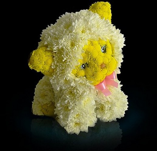 Động vật từ hoa 4