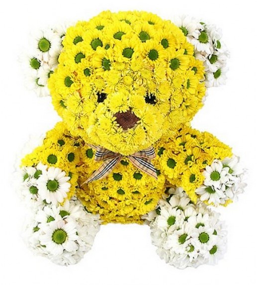 Động vật từ hoa 6