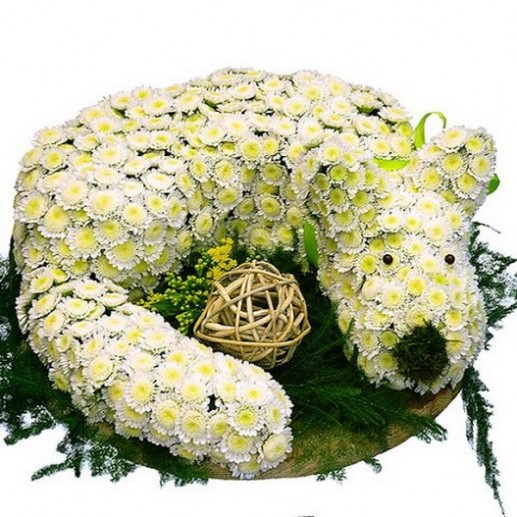 Động vật từ hoa 7