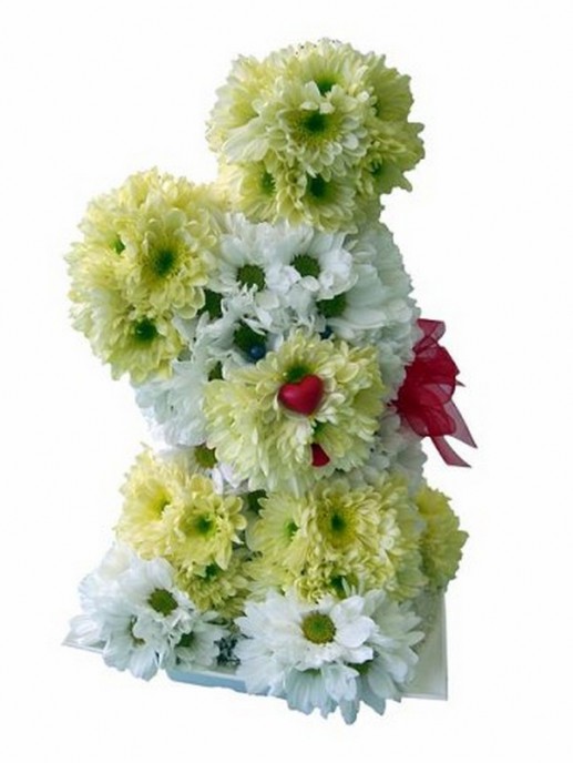 Động vật từ hoa 11