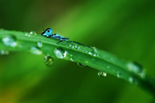 Newsflash 2 Hide and Seek (Trốn tìm)