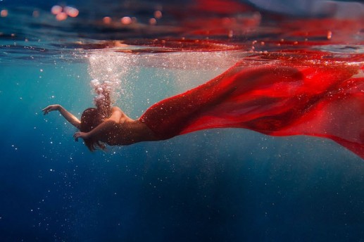 Newsflash 2 Underwater Dance. Red Tail (Vũ điệu dưới nước. Đuôi đỏ)