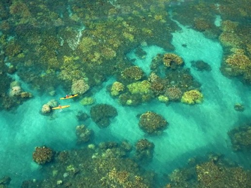 Newsflash 2 Kayakers, Maui