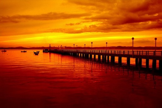 Newsflash 2 Cảnh hoàng hôn đẹp 9