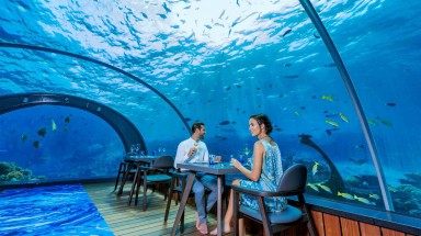 Ăn ngon tại nhà hàng dưới nước lớn nhất thế giới