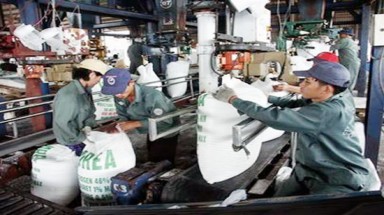 Sản xuất phân bón còn bao cấp?