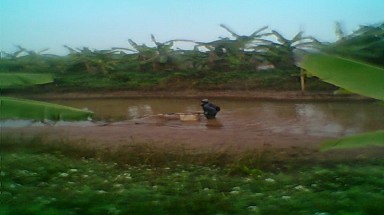  Hải Phòng: Thuỷ sản tại đầm của Đoàn Văn Vươn bị vơ vét