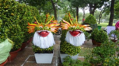 Hoa kiểng "độc" giá cao