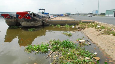 Lãng phí ở cảng sông Phú Định