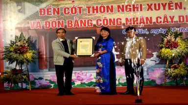Cây Sanh bao trùm ngôi đền cổ được vinh danh Cây Di sản Việt Nam