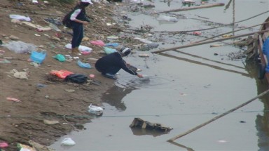  Phóng cá chết xuống hồ