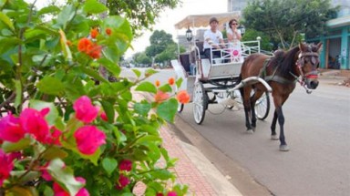 “Coffee tour” Buôn Ma Thuột