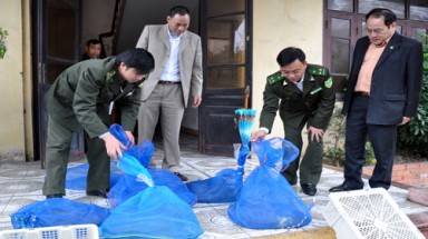  Quảng Ninh: Bắt vụ vận chuyển trái phép gần 3 tấn rắn