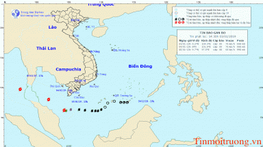 Bảo số 1 cách mũi Cà Mau 240km về phía Nam