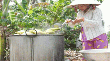 Bắp ế vì tin đồn... nhảm