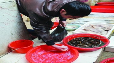 "Chấn động": Mua và ăn phải  cá ... giả