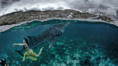  Siêu mẫu bơi lội  "tung tăng" cùng cá mập