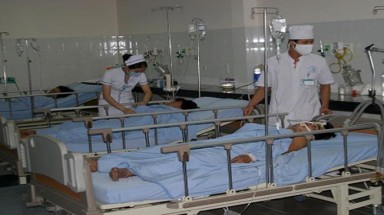 Bình Thuận: Nhậu cá nóc, 1 người chết, 4 nguy kịch