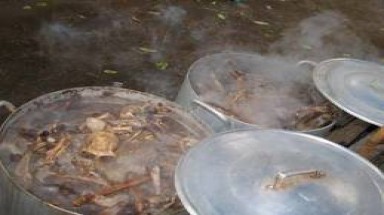  Bắt cửa hàng nấu cao hổ và sơn dương tại Hà Nội