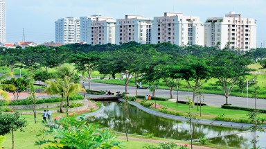 TP. HCM: “Ăn gian” mảng xanh