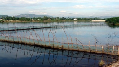   Bình Định: Phạt nặng các hộ “xí phần” trên đầm Thị Nại
