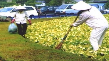 2.500 tỷ đồng chỉnh trang đô thị của Hà Nội