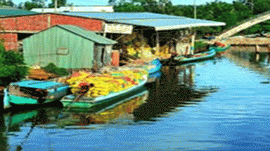 Độc đáo “Chợ lúa hai bận”