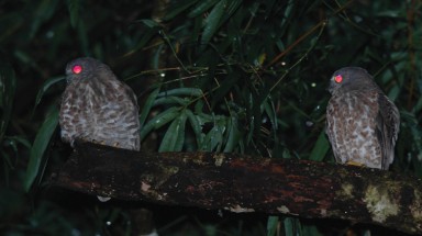  Những kẻ “ghét” chị Hằng