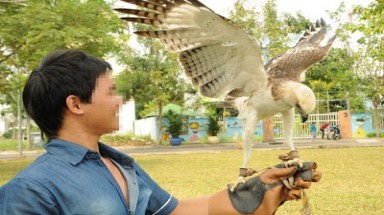 Thú chơi "cực độc" của dân chơi Việt