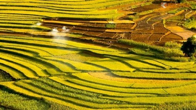  Thủ tướng chỉ thị chấn chỉnh, tăng cường quản lý đất đai