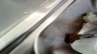 Bến Tre: Có dòi trong suất cơm của công nhân Alliance One