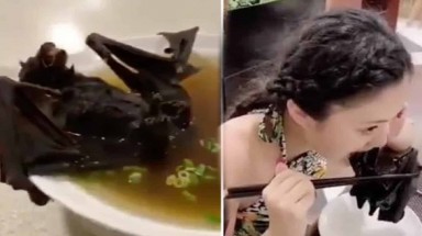 Người phụ nữ trẻ ăn dơi không phải người Vũ Hán