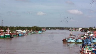 Phê duyệt một ĐTM và trách nhiệm giải trình