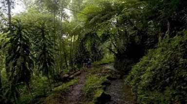     Liên hợp quốc kêu gọi đẩy mạnh du lịch sinh thái