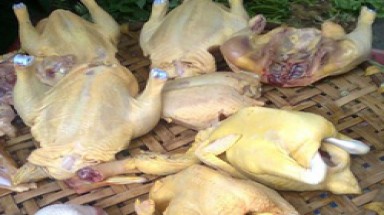 Xuất hiện thịt gà nhuộm phẩm màu độc  