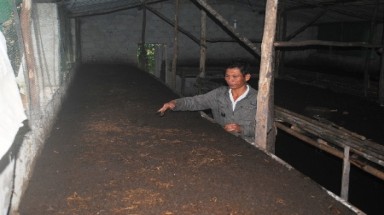   Hà Tĩnh: Nông dân khốn đốn vì nuôi… giun