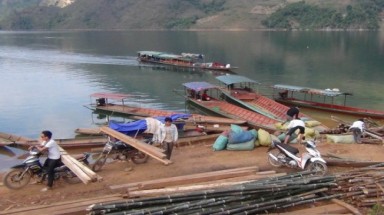 Điện Biên: Rừng Huổi Só đang khẩn thiết cầu cứu