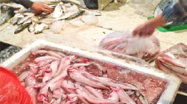 Hải sản trắng nõn nhờ ngâm... urê