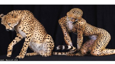 Phát sốt với loạt ảnh mẫu nude về thú rừng