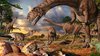   Loài khủng long lớn nhất có bộ não chỉ bằng quả bóng tennis