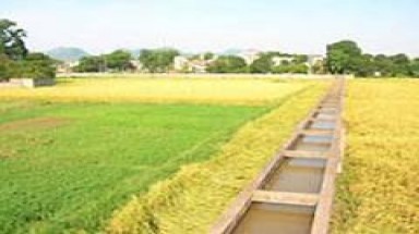 Nâng cao hiệu quả công trình thủy lợi