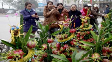 Hoa Tết giá chục triệu đồng trưng bày trên phố