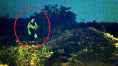 Mại dâm được “tiếp thị” tại... ruộng