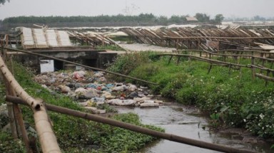 Kinh hoàng nơi phơi miến tại Hà Nội