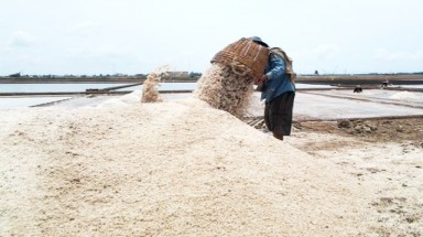 "Nghề làm muối ở Bạc Liêu" vào Di sản văn hóa phi vật thể Quốc gia