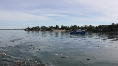    Báo động tình trạng ô nhiễm mặt nước tại Bạc Liêu