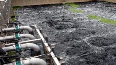   Vận hành không đúng quy trình xử lý nước thải, bị phạt 130 triệu đồng 