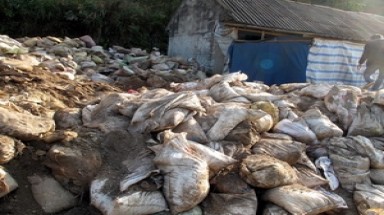 Lai Châu: Thu giữ 300 tấn quặng đất hiếm bị khai thác trộm